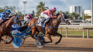 hialeah park racing casino