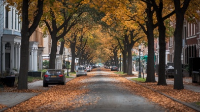 whitehead street